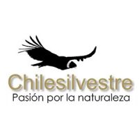 Chilesilvestre es una tienda online destinada tanto a los apasionados por la naturaleza, como a los profesionales y empresas que necesitan comprar productos o arrendar equipos para desarrollar estudios ambientales.
